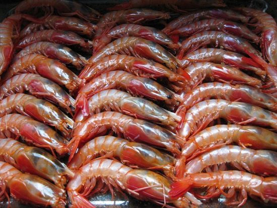 Gamberi in pasta kataifi: la ricetta