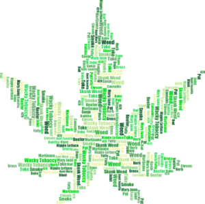 Cannabis Legale e semi in Italia: tra normative e sviluppi sociali