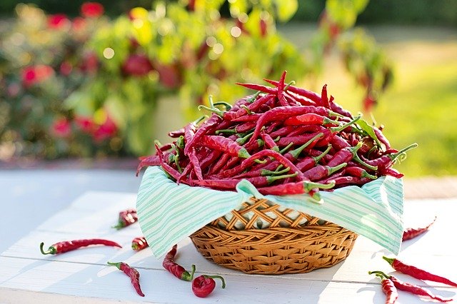 Trinidad Scorpion: cos’è, utilizzi e tecniche di coltivazione