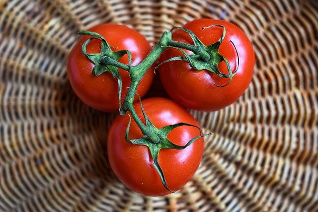 Quando piantare i pomodori? Che caratteristiche deve avere il terreno? Quando si raccolgono?