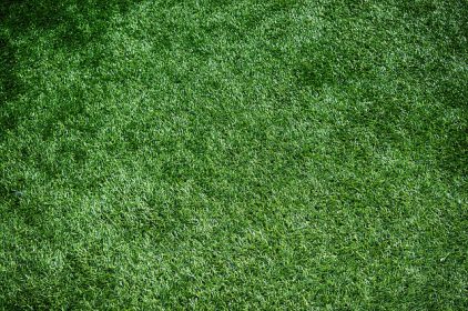 Erba sintetica: dalle tipologie alla manutenzione, tutto quello che devi sapere
