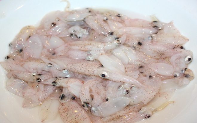 Calamaretti: come sceglierli? Come si possono cucinare? Dove trovare idee e ricette