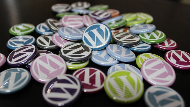 Hosting WordPress: come ottenere prestazioni elevate risparmiando sui costi