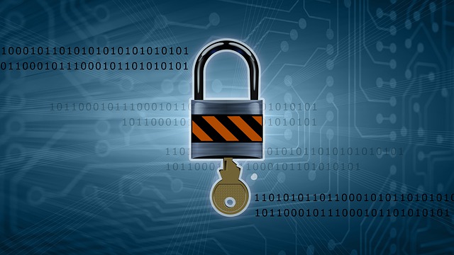 Rischi informatici: l’importanza di un’assicurazione cyber risk