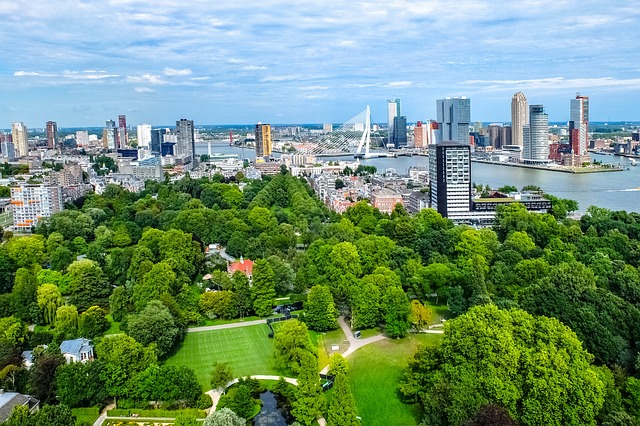 Cosa c’è da vedere a Rotterdam? Che piatti provare?