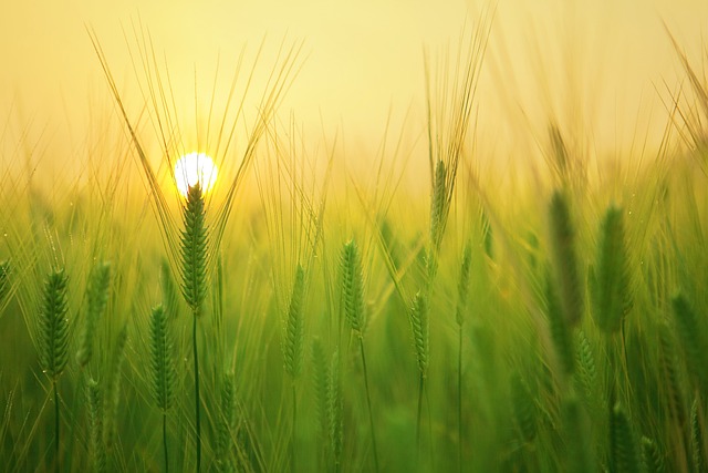 Veicoli agricoli: gli accessori indispensabili