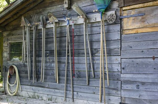 Attrezzi da giardinaggio: ecco quali sono i più utilizzati!