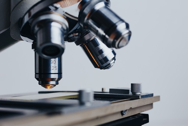 Il Cruciale Ruolo dei Ricercatori nella Battaglia Contro il Cancro: L’Importanza del Reclutamento e delle Borse di Studio