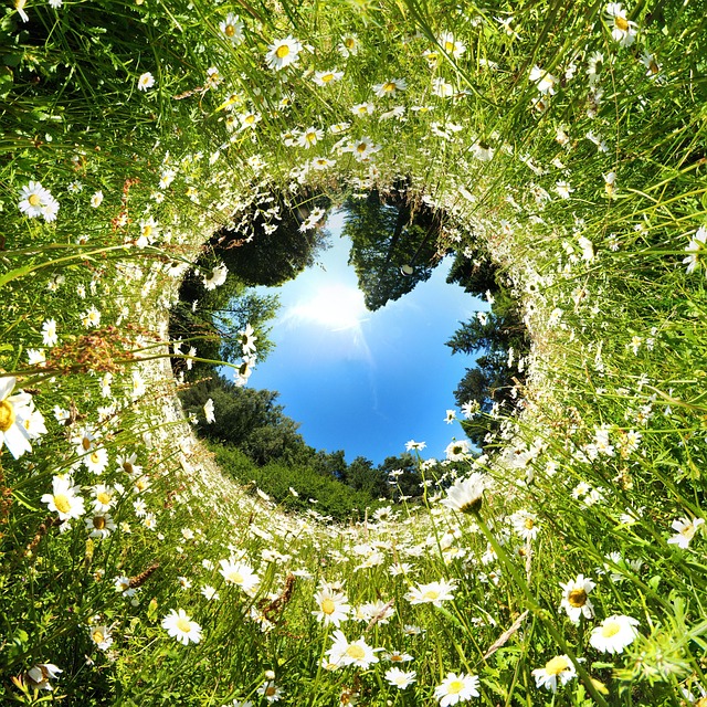 IA in agricoltura: come la tecnologia aiuta gli agricoltori