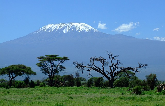 Safari in Tanzania: vivi l’emozione di un viaggio indimenticabile tra natura e avventura
