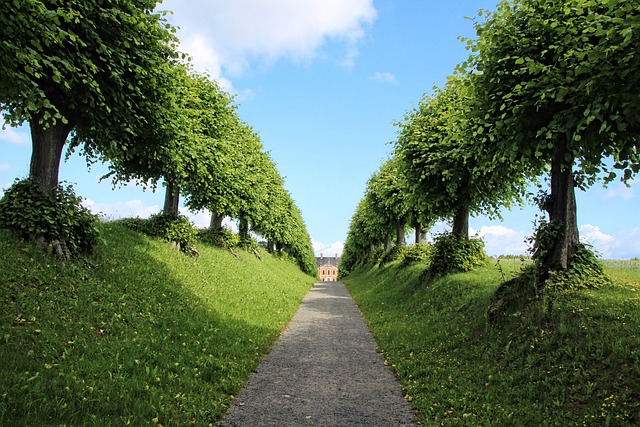 Come proteggere il tuo giardino dalle infestazioni di insetti: metodi naturali e soluzioni ecologiche